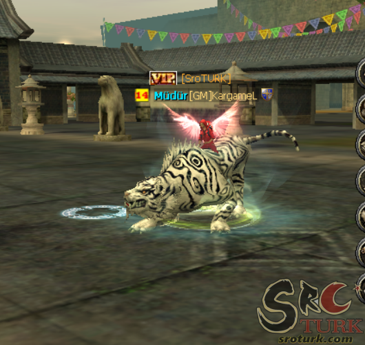 Tiger Power Summon Pet Binilir