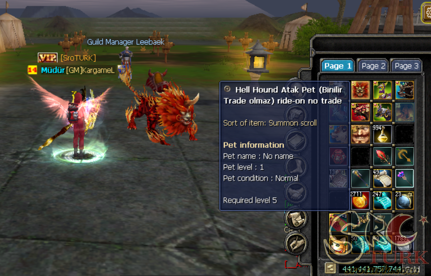 Hell Hound Attack Pet Binilir