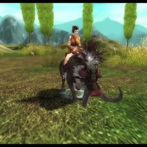 SroTURK New Furious Boar Summon