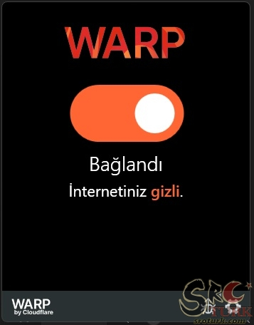 🎯 Oyun Açık ama Kapalı Görünüyor | Server Açık ama Bağlanmıyor | Çözümü Burada !